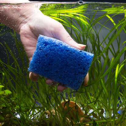 aquarienpflege bubblenavibanner 412x412